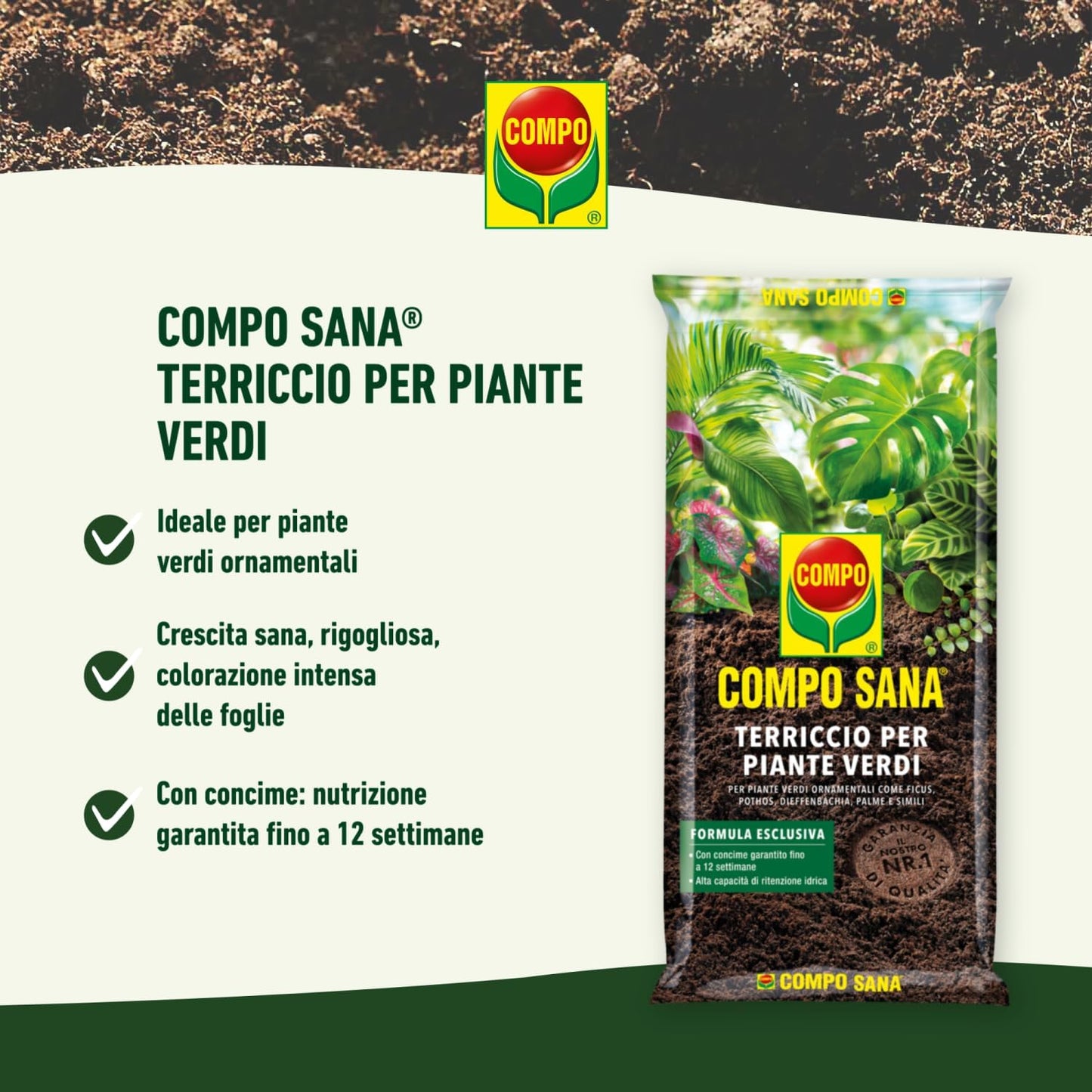 COMPO SANA Terriccio per Piante Verdi 5 Lt Per Piante Verdi Ornamentali, Con Aggiunta di Argilla, Sacco