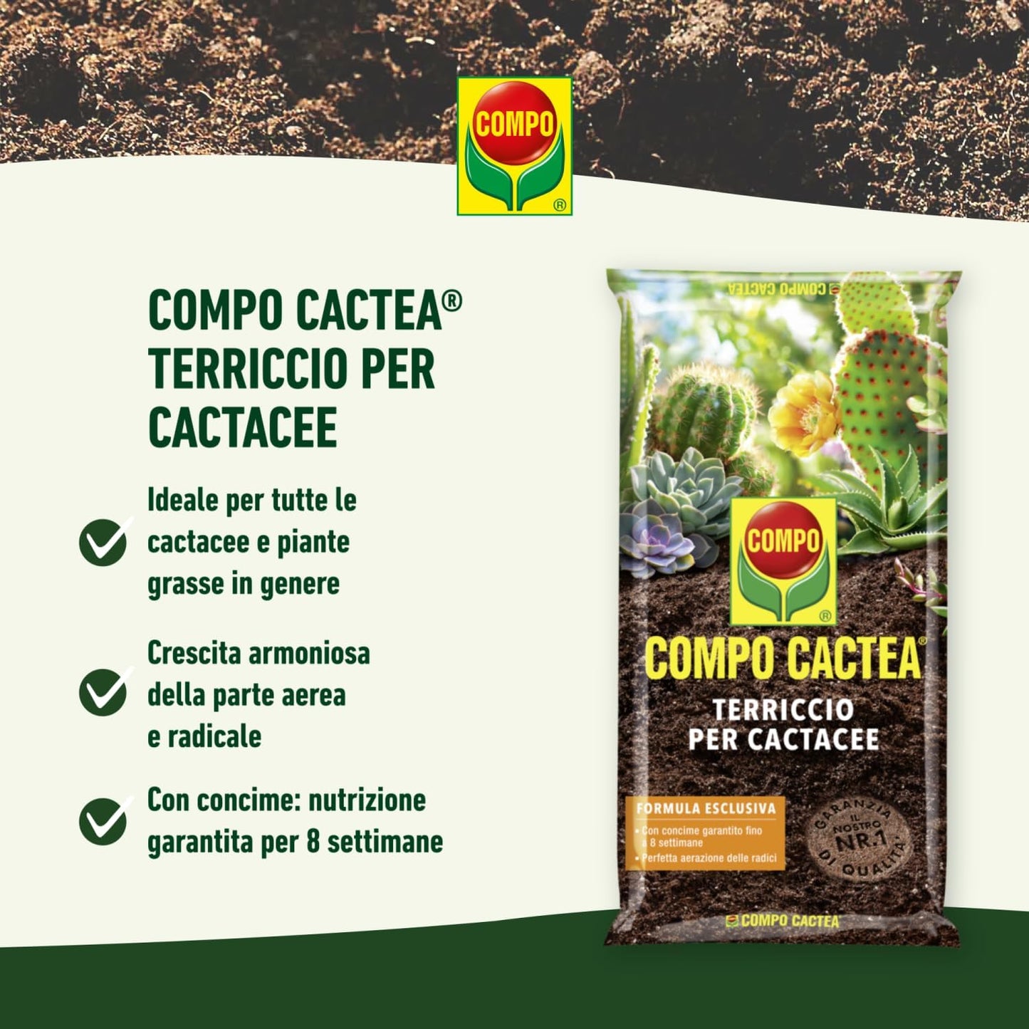 COMPO CACTEA Terriccio per Cactacee 5 l, Per una crescita omogenea delle piante