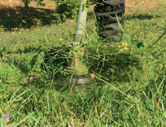DECESPUGLIATORE OLEOMAC BCH 500 S 50.9 CC IMPUGNATURA SINGOLA CON TESTINA TAP&GO