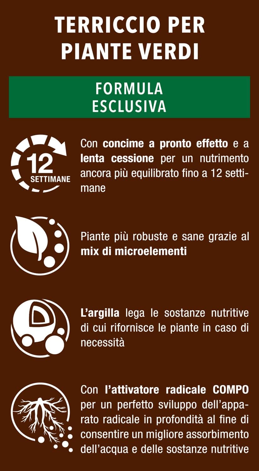 COMPO SANA Terriccio per Piante Verdi 5 Lt Per Piante Verdi Ornamentali, Con Aggiunta di Argilla, Sacco