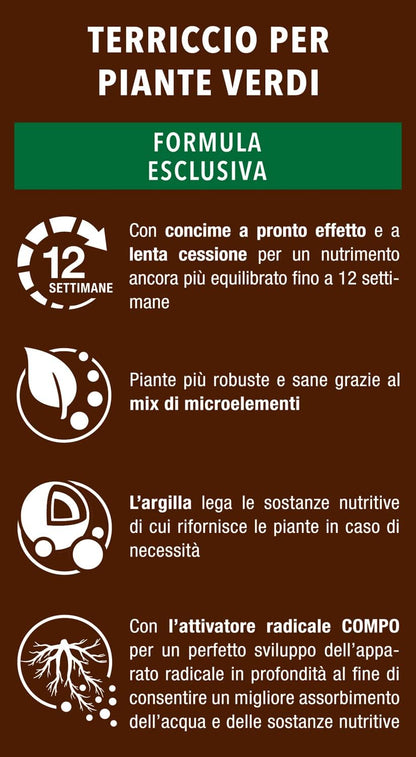 COMPO SANA Terriccio per Piante Verdi 5 Lt Per Piante Verdi Ornamentali, Con Aggiunta di Argilla, Sacco