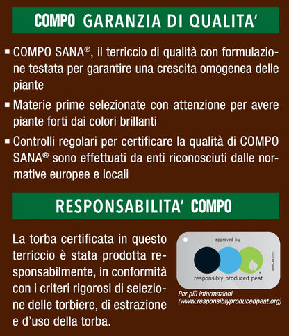 COMPO SANA Terriccio per Piante Verdi 5 Lt Per Piante Verdi Ornamentali, Con Aggiunta di Argilla, Sacco